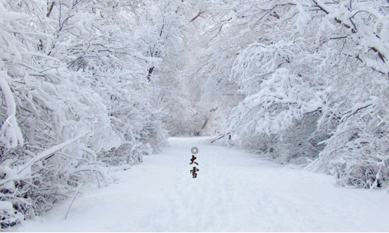 大雪：深冬啟幕，瑞雪豐年